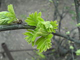 31DSC00031.JPG