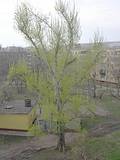31imgp1503a111.jpg
