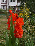 P1010215.JPG