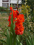 P1010216.JPG