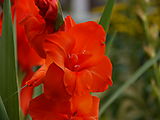 P1010217.JPG