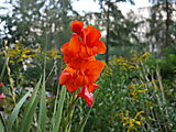 P1010223.JPG