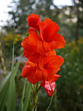 P1010226.JPG